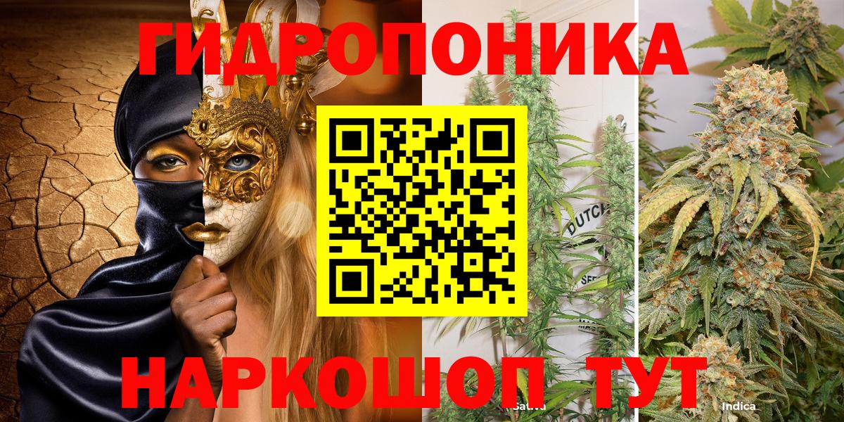 Бошки марихуана OG Kush Ногинск